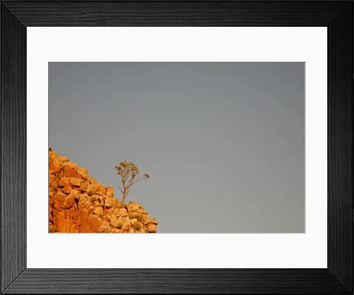 Framed Print : Tree on a rocky cliff Framed Print : Tree on a rocky cliff