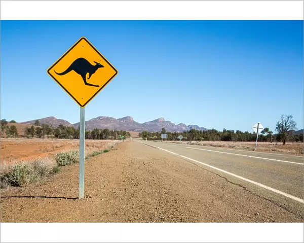 Kangaroo sign. Wilpena Pound. Flinders Ranges