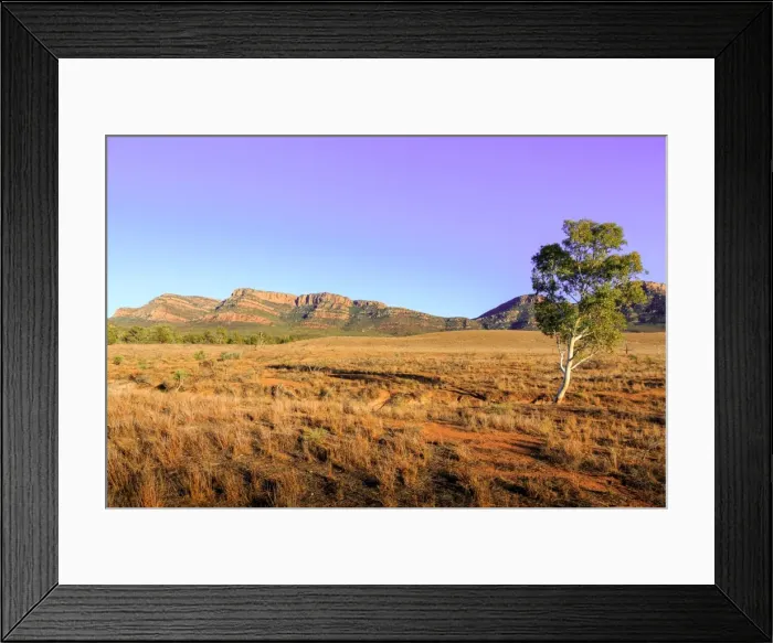 Framed Print : Wilpena Pound