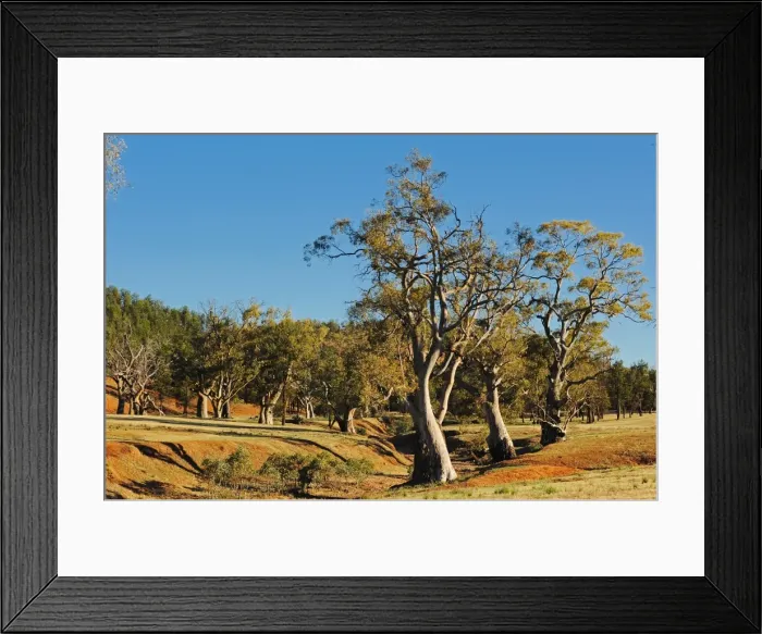 Framed Print : Flinders ranges south australia Framed Print : Flinders ranges south australia