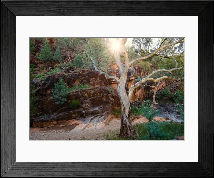 Framed Print : Willow springs gorge flinders ranges Framed Print : Willow springs gorge flinders ranges