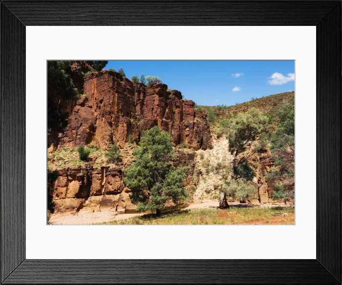 Framed Print : Willow Springs flinders ranges Framed Print : Willow Springs flinders ranges