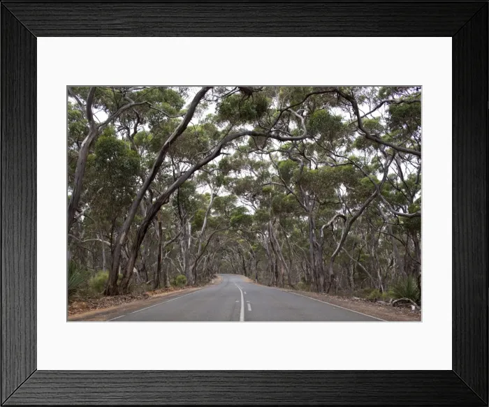 Framed Print : Flinders Chase National Park, Australia Framed Print : Flinders Chase National Park, Australia