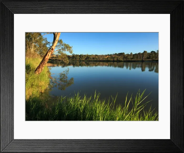Framed Print : Murray River. Waikerie. South Australia Framed Print : Murray River. Waikerie. South Australia
