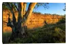 Waikerie. River Murray. South Australia Photo Cushion