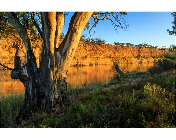 Waikerie. River Murray. South Australia