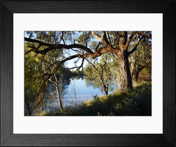 Framed Print : Murray River Framed Print : Murray River