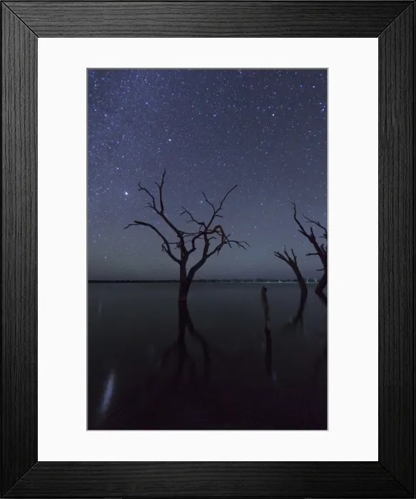 Framed Print : Stargazing