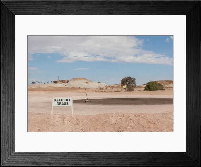 Framed Print : Pedy