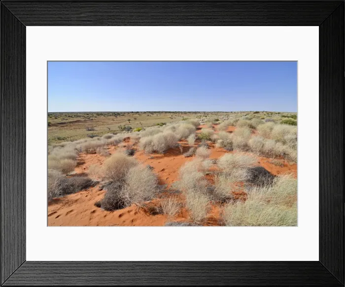 Framed Print : Red sand dunes Framed Print : Red sand dunes
