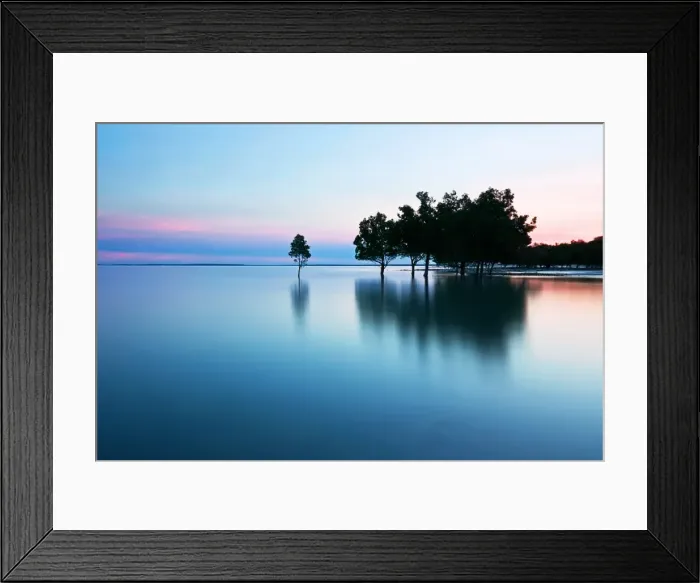 Framed Print : East Point mangroves Framed Print : East Point mangroves