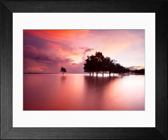 Framed Print : Natures Soldiers