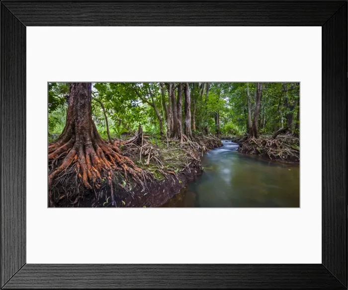 Framed Print : Rapid Creek - Darwin Framed Print : Rapid Creek - Darwin