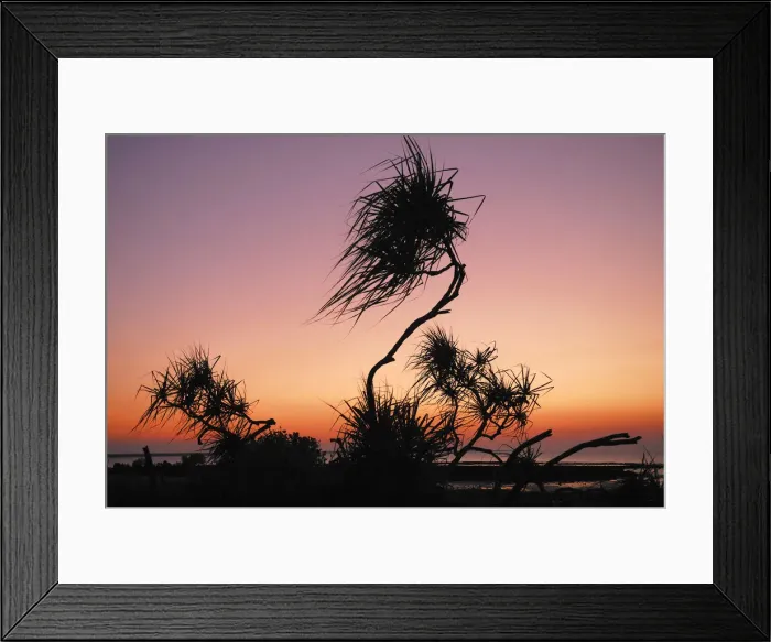 Framed Print : Sunset, East Point, Darwin, Northern Territory, Australia Framed Print : Sunset, East Point, Darwin, Northern Territory, Australia