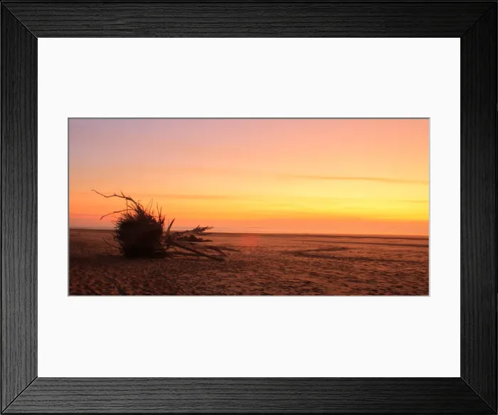 Framed Print : Lone Tree on Beach at Sunset Framed Print : Lone Tree on Beach at Sunset