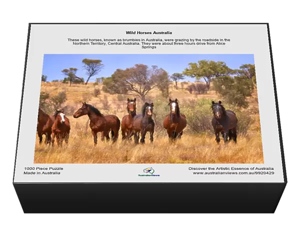 Wild Horses Australia