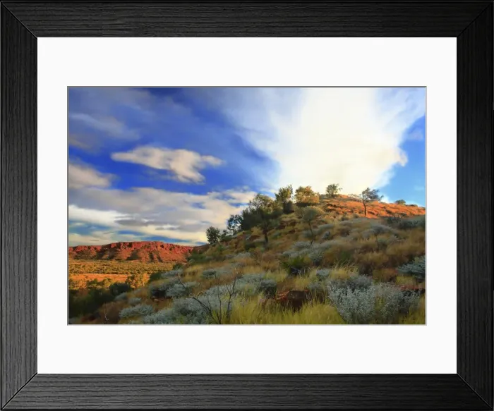 Framed Print : Cloudy Day in the Desert