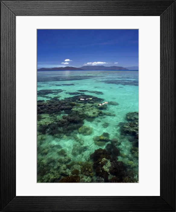 Framed Print : Great Barrier Reef Framed Print : Great Barrier Reef