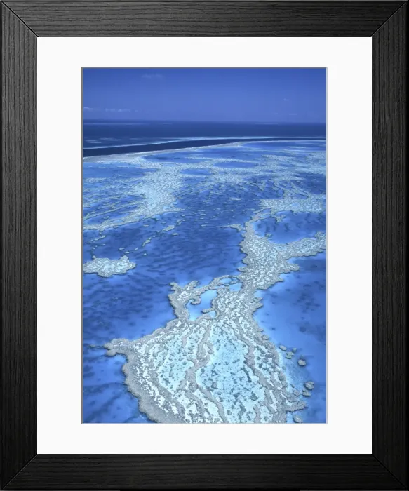 Framed Print : Hardy Reef Framed Print : Hardy Reef