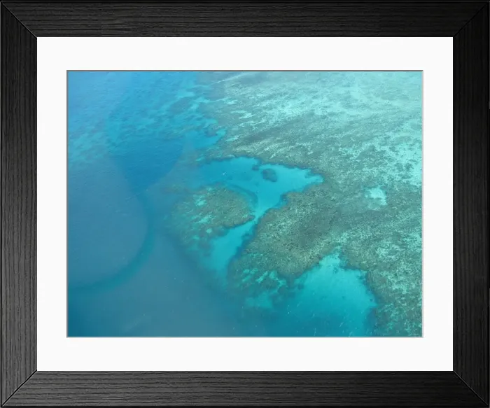 Framed Print : Great Barrier Reef Framed Print : Great Barrier Reef