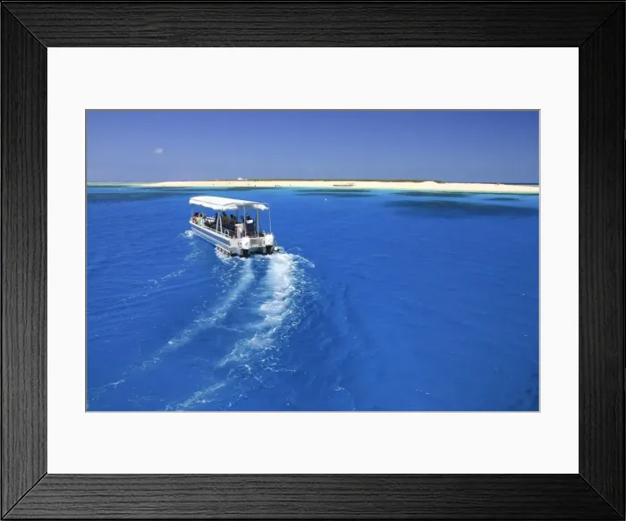 Framed Print : Michaelmas cay