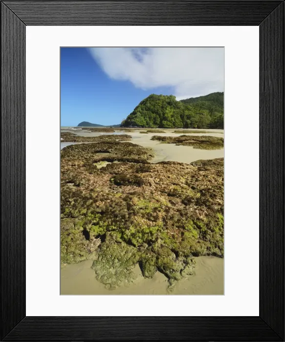 Framed Print : Great Barrier Reef meets rainforest