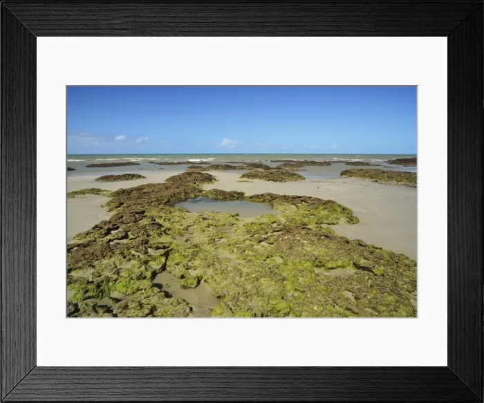 Framed Print : Great Barrier Reef
