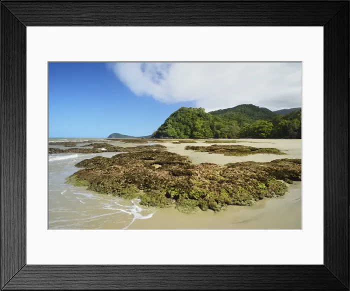 Framed Print : Great Barrier Reef meets rainforest