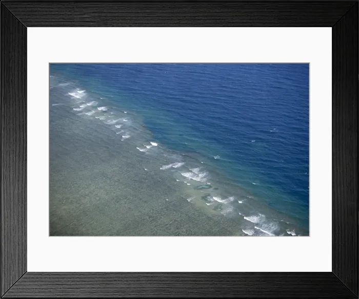 Framed Print : Tropical reef, Great Barrier Reef, Queensland, Australia Framed Print : Tropical reef, Great Barrier Reef, Queensland, Australia
