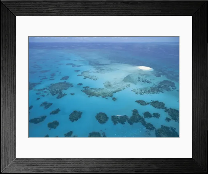 Framed Print : Great barrier reef, Queensland, Australia Framed Print : Great barrier reef, Queensland, Australia