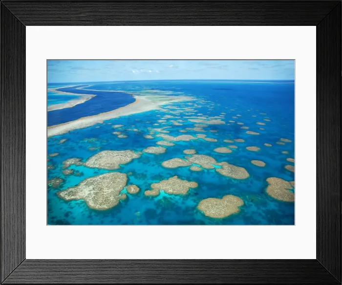 Framed Print : The Reef, Whitsunday Islands, Australia Framed Print : The Reef, Whitsunday Islands, Australia