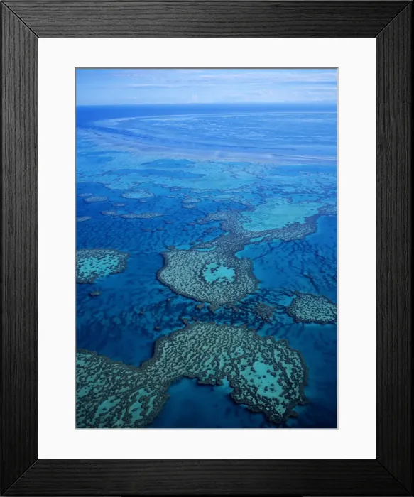 Framed Print : Great Barrier Reef in Australia Framed Print : Great Barrier Reef in Australia