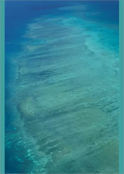 Barrier Reef, Coast of Queensland, Australia