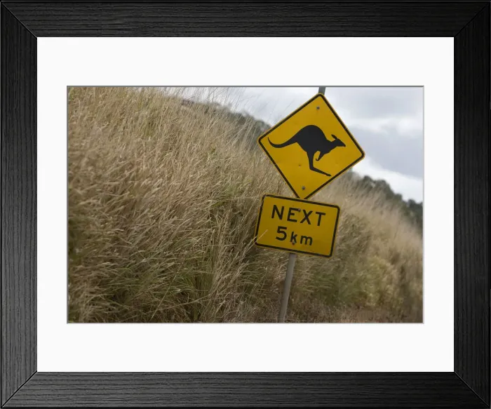 Framed Print : Kangaroo sign near Whitsunday Islands, Australia Framed Print : Kangaroo sign near Whitsunday Islands, Australia