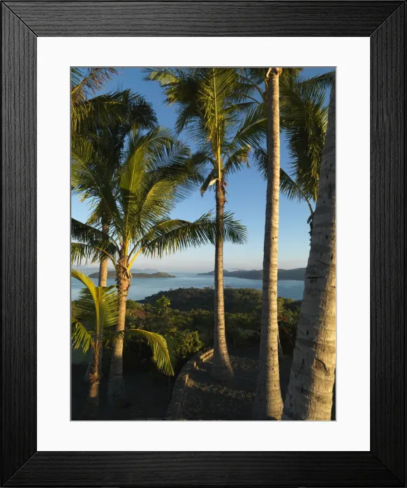 Framed Print : Hamilton Island Framed Print : Hamilton Island