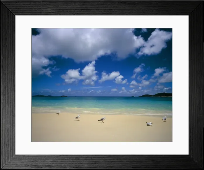 Framed Print : Seagulls on an idyllic beach, Australia