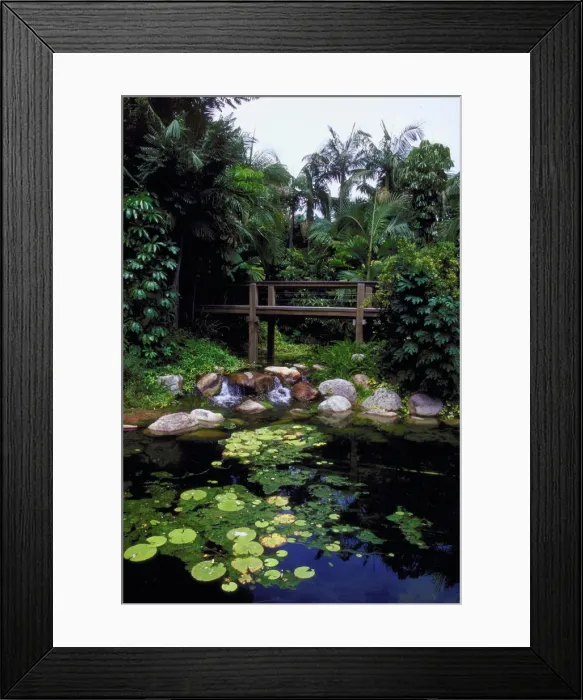 Framed Print : Rain forest walk, South Bank, Brisbane, Australia