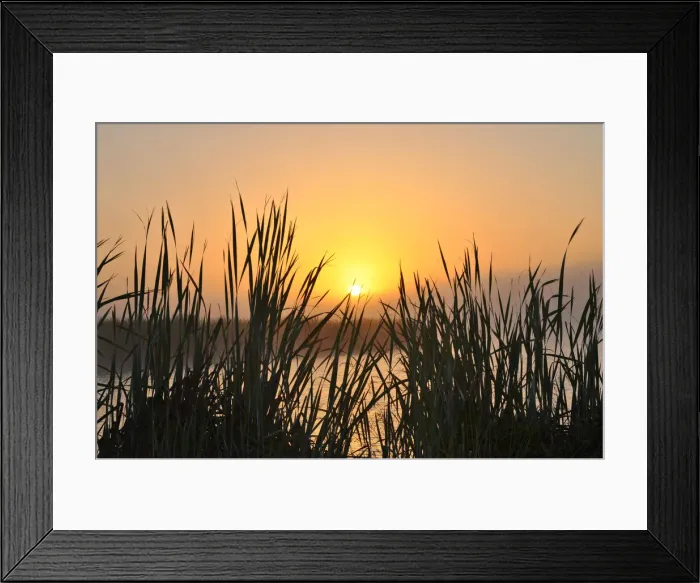 Framed Print : Misty morning sunrise Framed Print : Misty morning sunrise