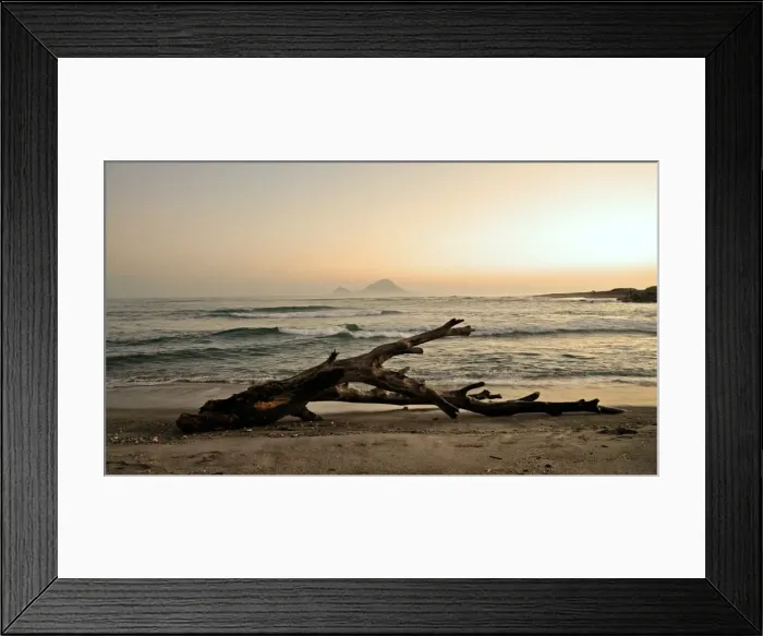 Framed Print : Driftwood on Thornton Beach, Bay of Plenty with Moutohora Island 