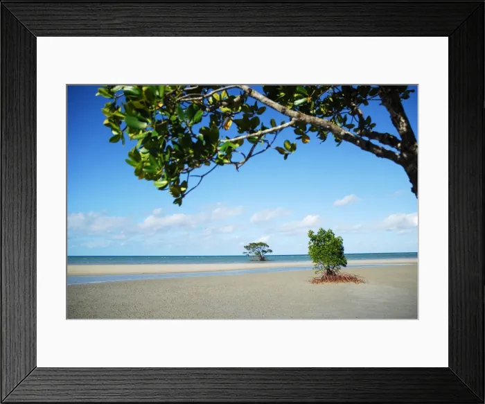Framed Print : Cape Tribulation beach, Australia