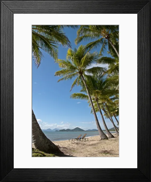 Framed Print : Sun Lounges on Tropical Palm Filled Beach Framed Print : Sun Lounges on Tropical Palm Filled Beach