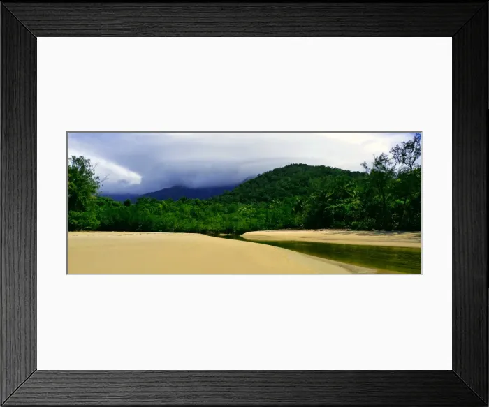 Framed Print : Rainforest