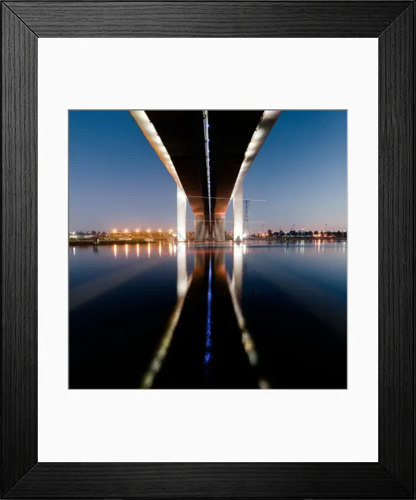 Framed Print : Underbelly Framed Print : Underbelly