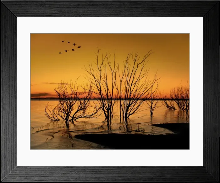 Framed Print : Golden sunset Framed Print : Golden sunset