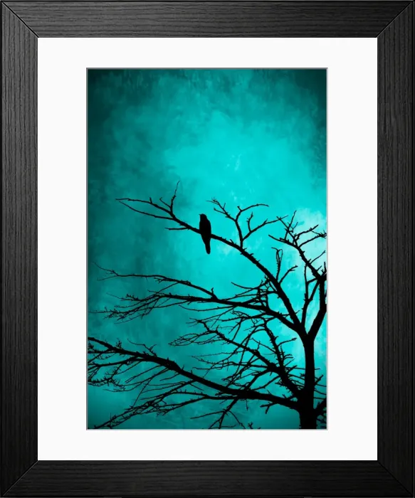 Framed Print : Silhouette of a bird in a tree