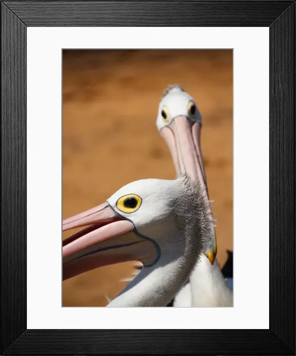 Framed Print : Look at me