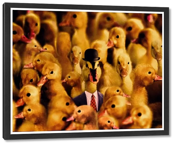 Boss Duck. A Duck in a bowler hat and suit and tie surrounded by other ducks