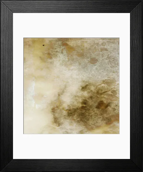 Framed Print : Canvas