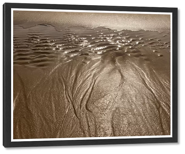 Wet sand ripples