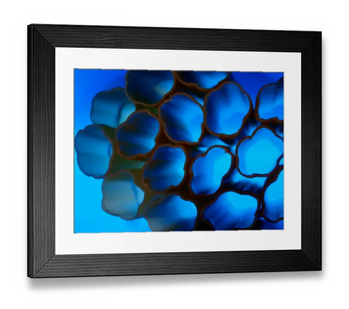 Framed Print : Blue back light shining through cannelloni